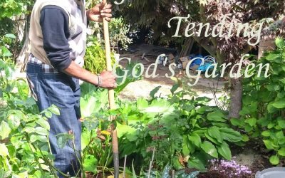 Sermon September 17, 2017  “Which Did What the Father Wanted?”