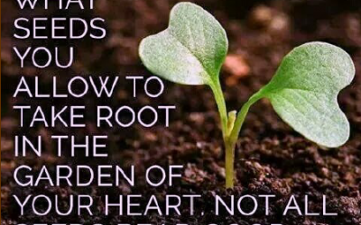 Sermon January 7, 2018 “Fear is the Seed of Death”